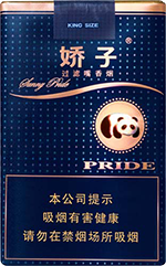 ���ӣ������⣩