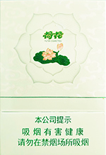 ��ʯ��˫��֧�ɻ���