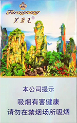 ܽ�������żҽ磩