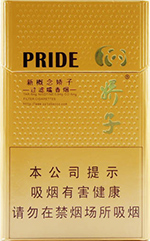 ���ӣ��¸��