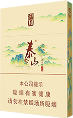 ̩ɽ�����˫��֧��