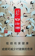 ��ɳ���ٺ׳��飩