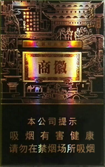 ��ɽ���������ӽ磩