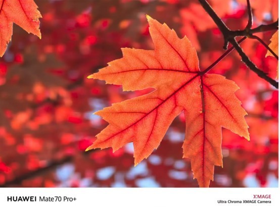 ��ΪMate 70ϵ�С����ԭɫӰ���ع� ɫ�ʻ�ԭ��ͻ��