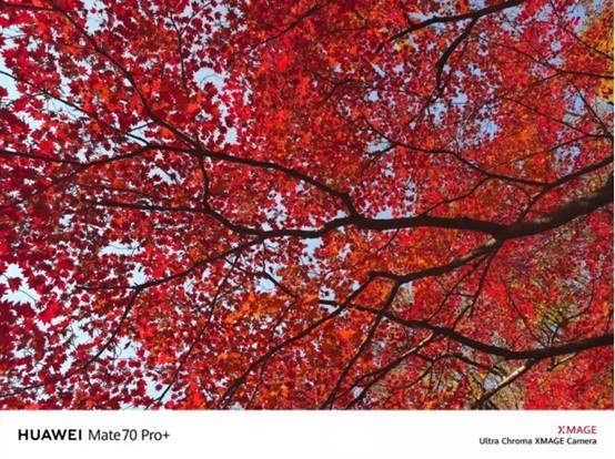 ��ΪMate 70ϵ�С����ԭɫӰ���ع� ɫ�ʻ�ԭ��ͻ��