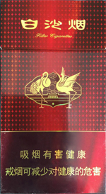 ��ɳ��ϸ֧�죩