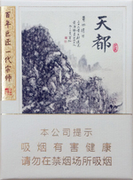 ��ɽ���춼9+1��